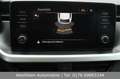 Skoda Scala Drive 125 years 116PS DSG|LED|ApCarPL|Frsp Grau - thumbnail 20