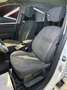 Renault Scenic 1.5 dci LUXE 110cv 7POSTI White - thumbnail 12
