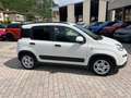 Fiat Panda 1.0 firefly hybrid City Life s Weiß - thumbnail 1
