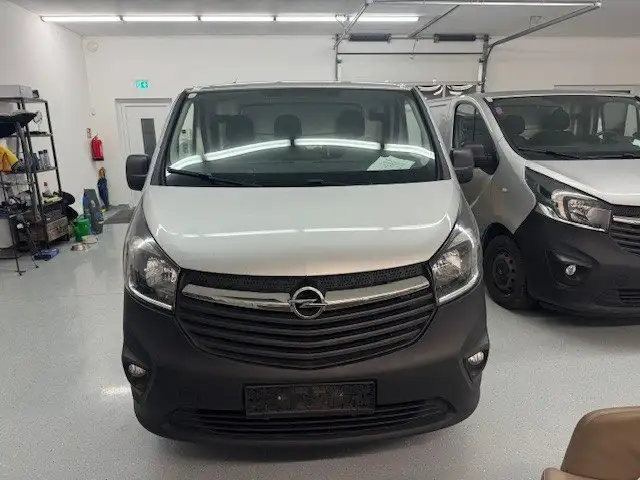 Opel Vivaro Kasten L2H1  2,9t