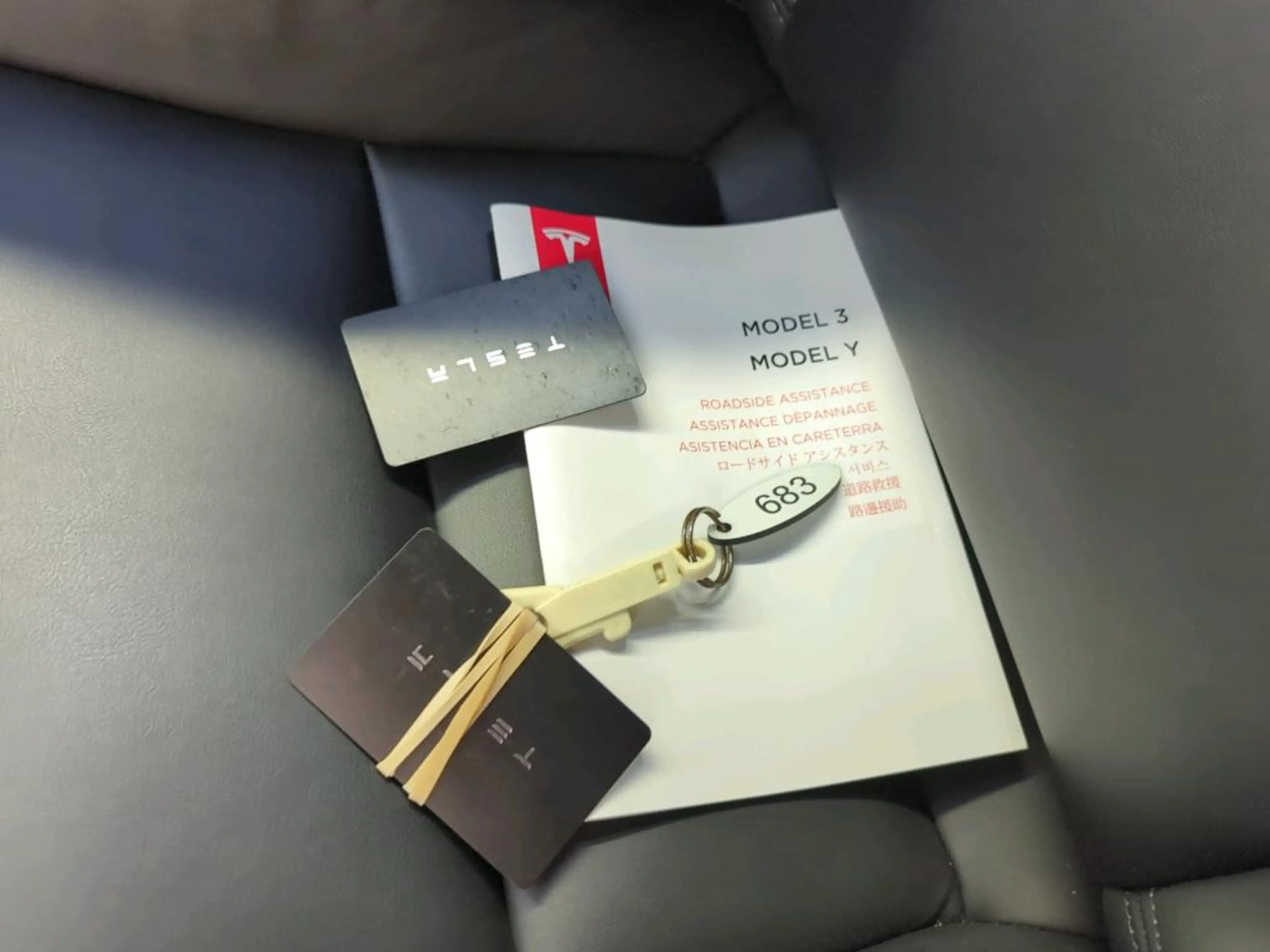 Tesla Model Y Standard RWD Plus 91% SoH [ TREKHAAK+LFP ACCU+AUTO — photo 9