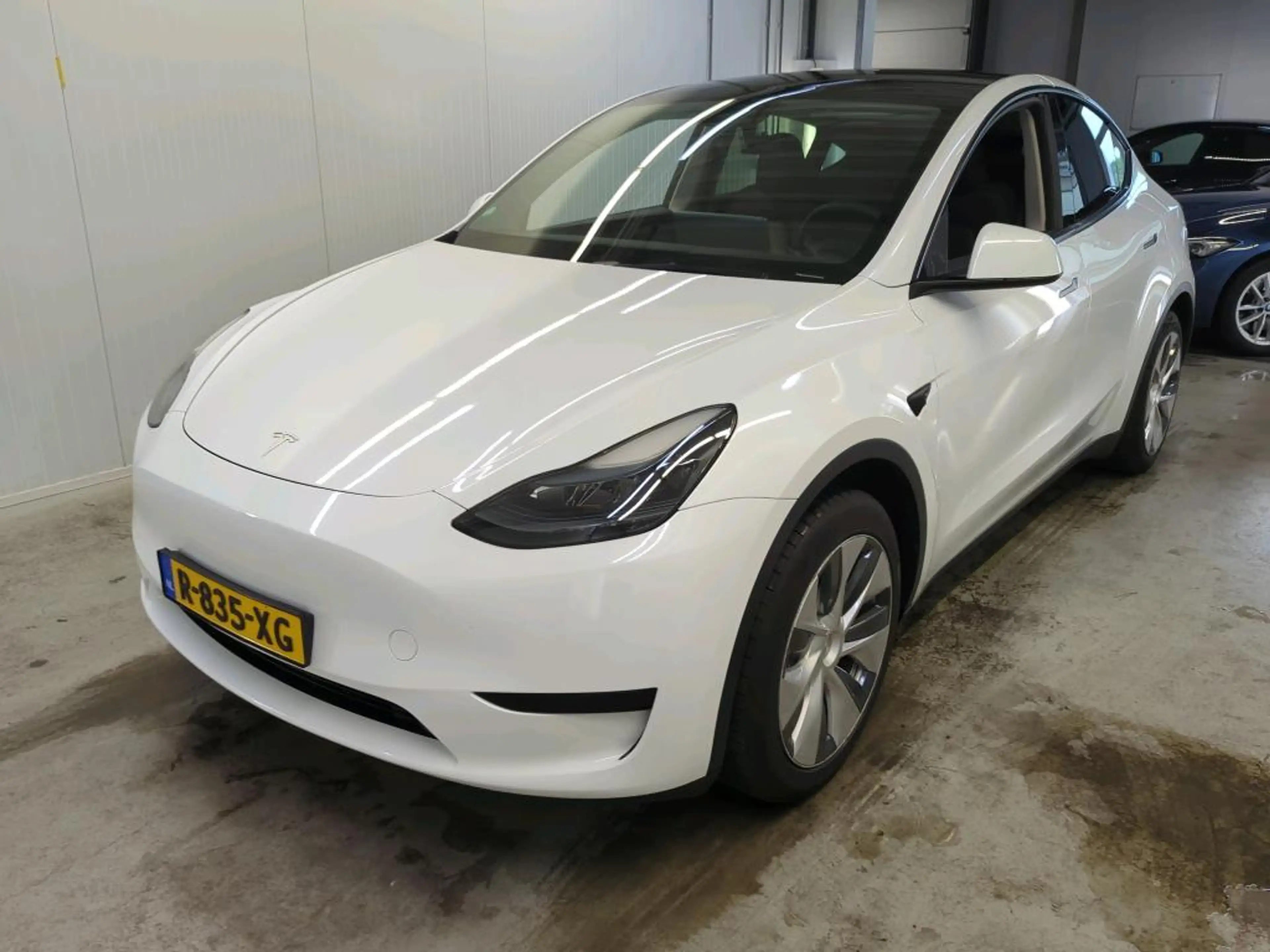 Tesla Model Y Standard RWD Plus 91% SoH [ TREKHAAK+LFP ACCU+AUTO