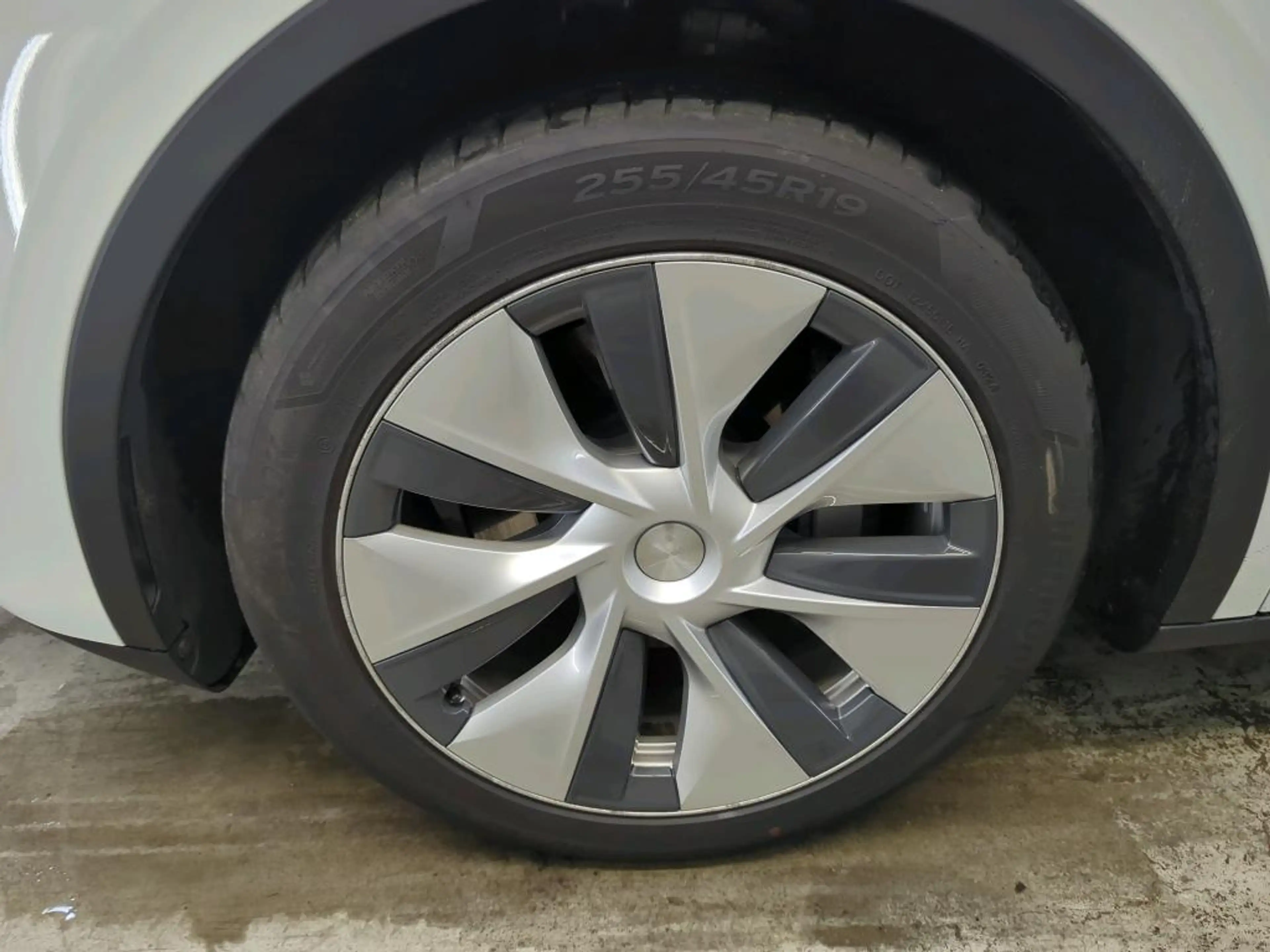 Tesla Model Y Standard RWD Plus 91% SoH [ TREKHAAK+LFP ACCU+AUTO — photo 13
