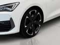 CUPRA Leon 2.0 tsi 245cv dsg Bianco - thumbnail 7