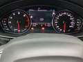 Audi A4 allroad 45 TFSI Q ST.HEIZ AHK ALCANTARA LM19 Grau - thumbnail 10
