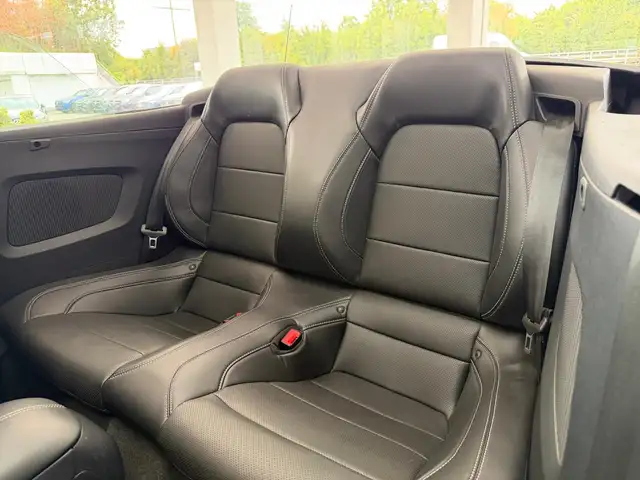 Ford Mustang view 10