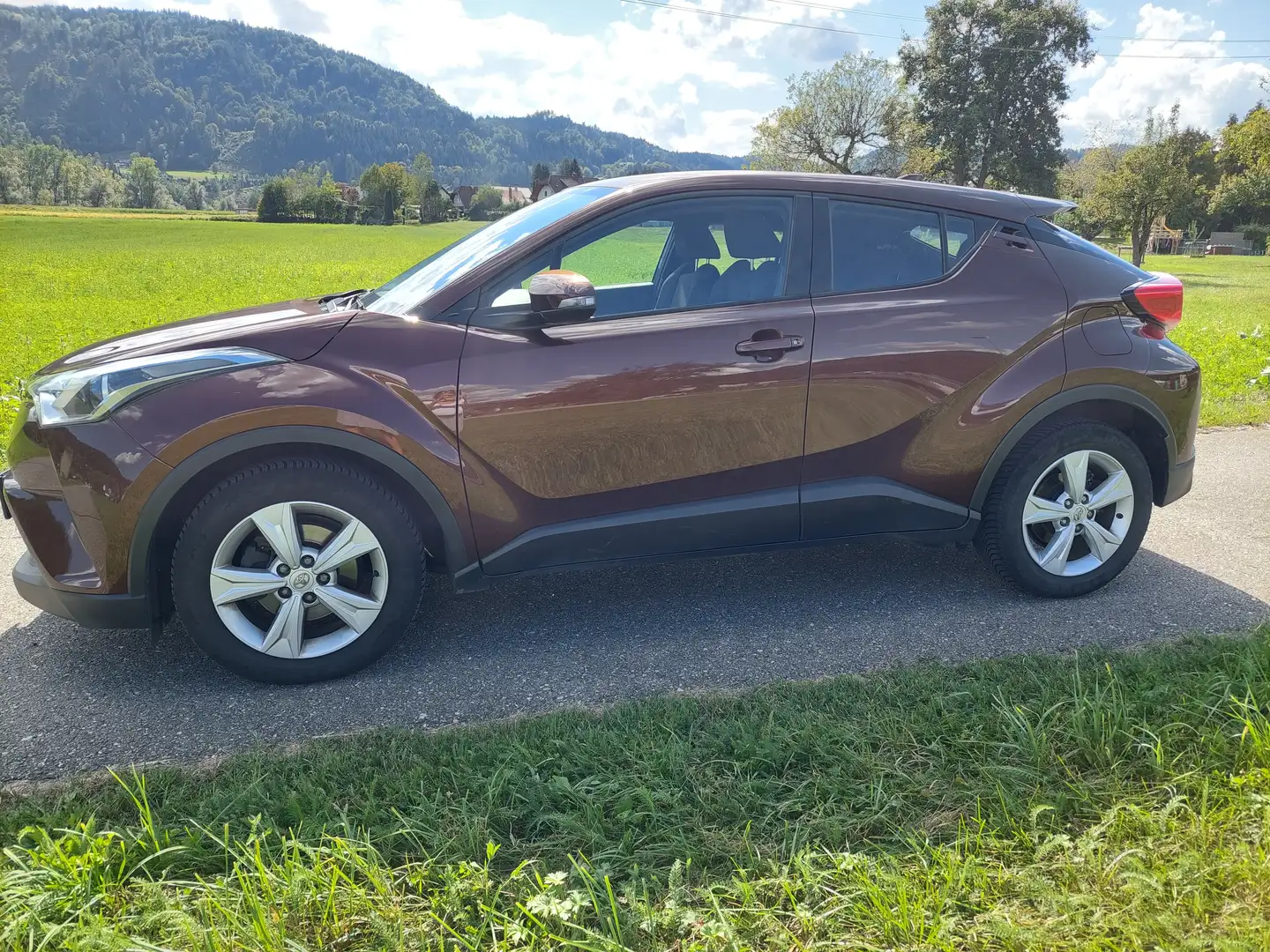 Toyota C-HR C-HR 1,2T C-ENTER 4WD CVT C-ENTER Braun - 1