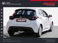 Toyota Yaris Hybrid Business Ed. *CarPlay/AndroidAuto* Bianco - thumbnail 2