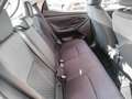 Toyota Yaris Hybrid Business Ed. *CarPlay/AndroidAuto* Bianco - thumbnail 7