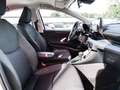 Toyota Yaris Hybrid Business Ed. *CarPlay/AndroidAuto* Bianco - thumbnail 6