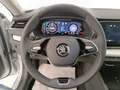 Skoda Octavia Wagon 2.0 TDI Executive Grigio - thumbnail 13