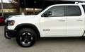Dodge RAM 1500 Quad Cab Rebel *Hardtop*Trittbretter* Weiß - thumbnail 8