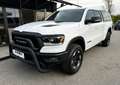 Dodge RAM 1500 Quad Cab Rebel *Hardtop*Trittbretter* Weiß - thumbnail 5