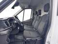 Ford Transit 350 L2 + Allwetter + ACC + Navi Weiß - thumbnail 10