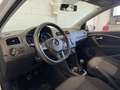 Volkswagen Polo 1.4 tdi Comfortline 5 porte NEOPATENTATI Blanc - thumbnail 7