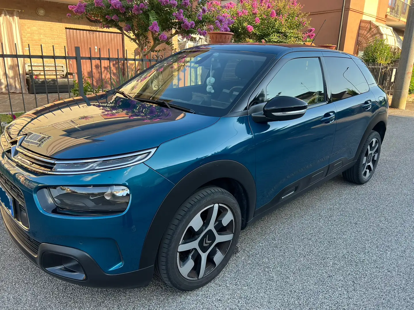 Citroen C4 Cactus BlueHDi 100 S&S Shine Vert - 2