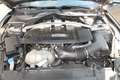 Ford Mustang Fastback 5.0 Ti-VCT V8 GT | B&O/CARBON/ALCANTARA Grau - thumbnail 12