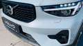 Volvo XC40 B3 P. Dark PILOT LEDER PIXEL NAVI 360° PANO Gris - thumbnail 2