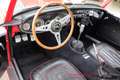 Austin-Healey 3000 MK II Rally prepared Overdrive Rot - thumbnail 17