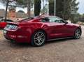Ford Mustang Fastback 2.3 EcoBoost Aut. Rojo - thumbnail 8