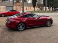 Ford Mustang Fastback 2.3 EcoBoost Aut. Rojo - thumbnail 9