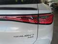 BYD Sealion 7 Excellence AWD  /360°/HUD/SHZ/PANO-DA/ 390 kW (... Weiß - thumbnail 13