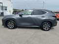 Lexus NX 350h Business Line Aut. Grau - thumbnail 8