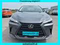 Lexus NX 350h Business Line Aut. Grau - thumbnail 2