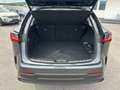 Lexus NX 350h Business Line Aut. Grau - thumbnail 28