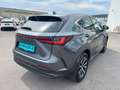 Lexus NX 350h Business Line Aut. Grau - thumbnail 4
