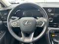 Lexus NX 350h Business Line Aut. Grau - thumbnail 15