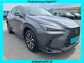 Lexus NX 350h Business Line Aut. Grau - thumbnail 3