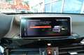 BMW X1 sDrive18d Business Advantage AUTO. - CAMBIO SPORT. Blu/Azzurro - thumbnail 25
