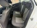 Volkswagen Polo 1.2 TDI BlueMotion Comfortline NIEUWE APK Wit - thumbnail 16