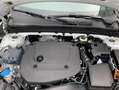 Volvo XC40 XC40 B3 B DKG Core Weiß - thumbnail 8