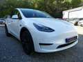 Tesla Model Y STANDAR RwD Bianco - thumbnail 9