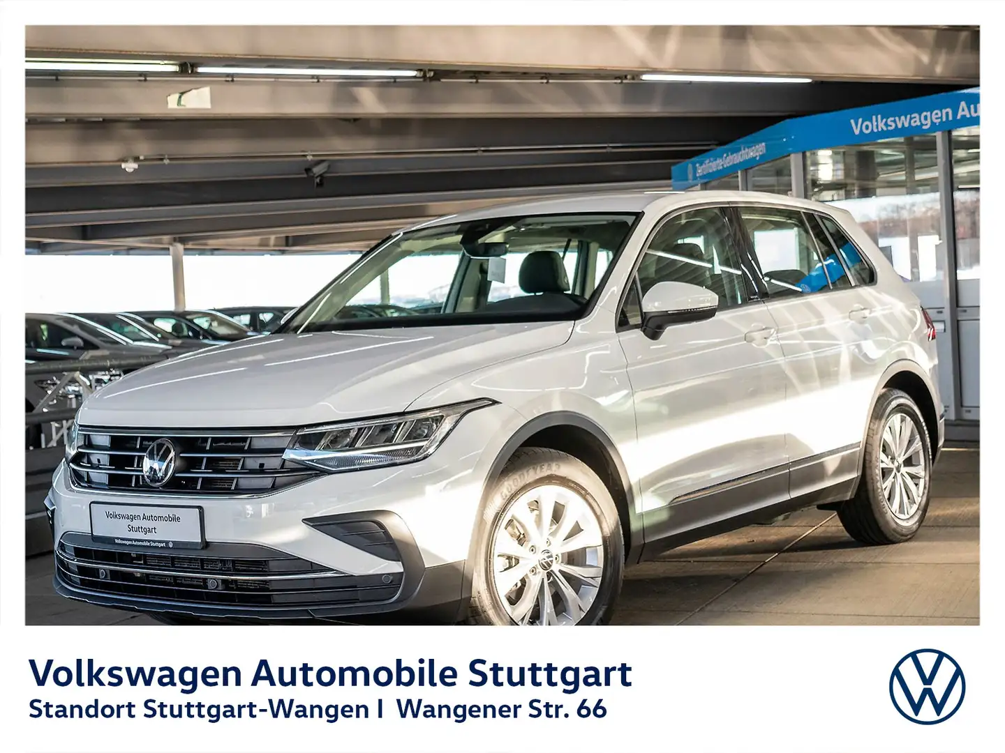 Volkswagen Tiguan 1.5 TSI DSG Navi LED ACC PDC SHZ Weiß - 1