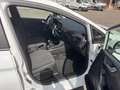Ford Fiesta 1.1 Cool&Connect (EURO 6d-TEMP) Cool & Co Blanco - thumbnail 19