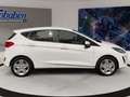 Ford Fiesta 1.1 Cool&Connect (EURO 6d-TEMP) Cool & Co Blanco - thumbnail 3