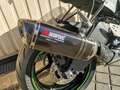 Kawasaki Schwarz - thumbnail 4