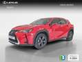 Lexus UX 250h 2.0 Business Rojo - thumbnail 1