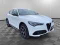 Alfa Romeo Stelvio 2.2 Turbodiesel 210 CV AT8 Q4 Veloce Bianco - thumbnail 3