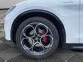 Alfa Romeo Stelvio 2.2 Turbodiesel 210 CV AT8 Q4 Veloce Bianco - thumbnail 9
