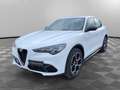 Alfa Romeo Stelvio 2.2 Turbodiesel 210 CV AT8 Q4 Veloce Bianco - thumbnail 1