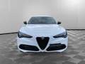Alfa Romeo Stelvio 2.2 Turbodiesel 210 CV AT8 Q4 Veloce Bianco - thumbnail 2