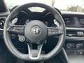 Alfa Romeo Stelvio 2.2 Turbodiesel 210 CV AT8 Q4 Veloce Bianco - thumbnail 14