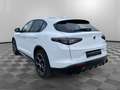 Alfa Romeo Stelvio 2.2 Turbodiesel 210 CV AT8 Q4 Veloce Bianco - thumbnail 7