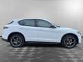 Alfa Romeo Stelvio 2.2 Turbodiesel 210 CV AT8 Q4 Veloce Bianco - thumbnail 4