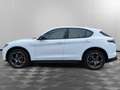 Alfa Romeo Stelvio 2.2 Turbodiesel 210 CV AT8 Q4 Veloce Bianco - thumbnail 8