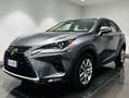 Lexus NX 300 NX I 2018 300h 2.5 Premium 4wd cvt Gris - thumbnail 1